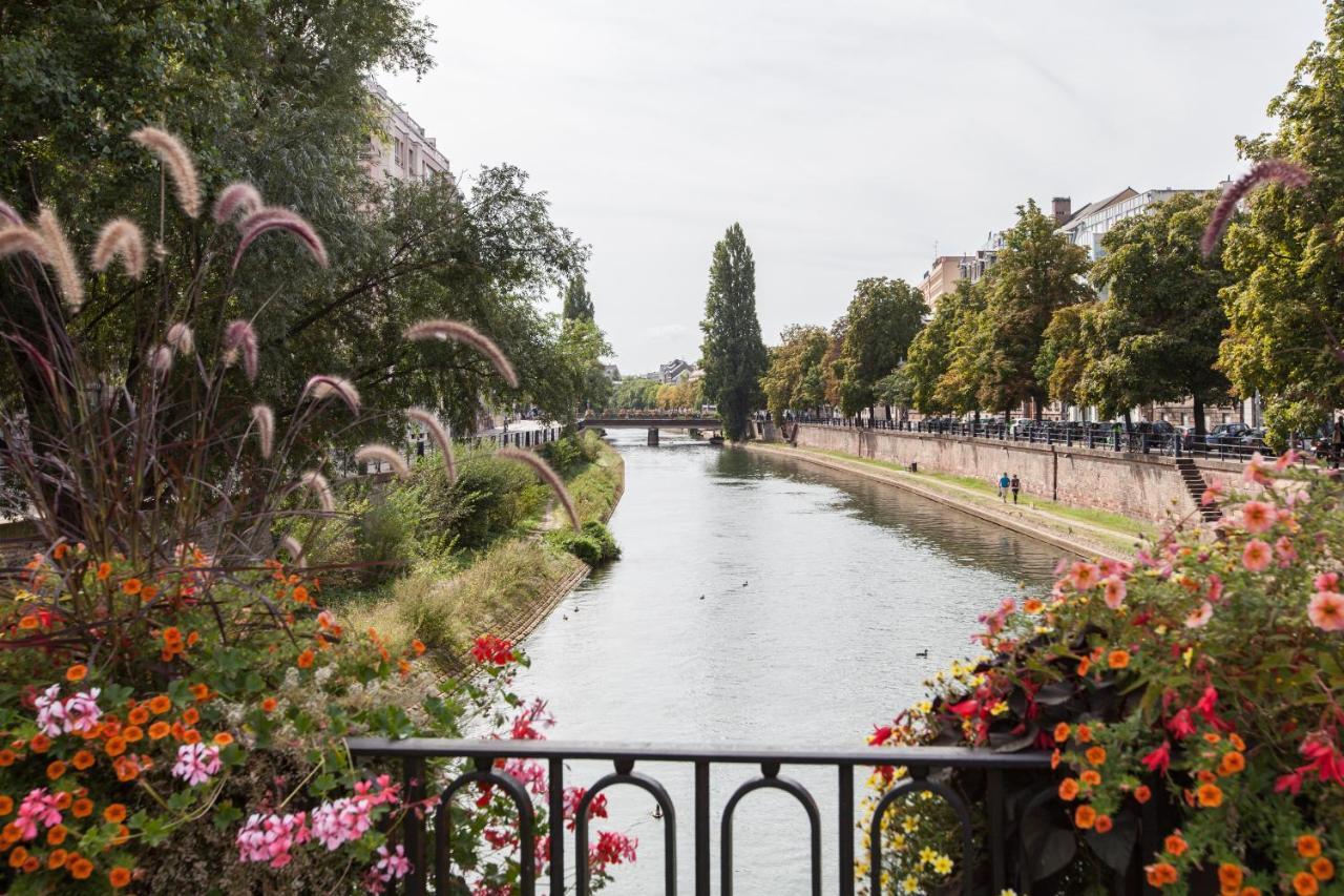 L'Appart Du Quai Avec Terrasse Strasbourg Exteriör bild
