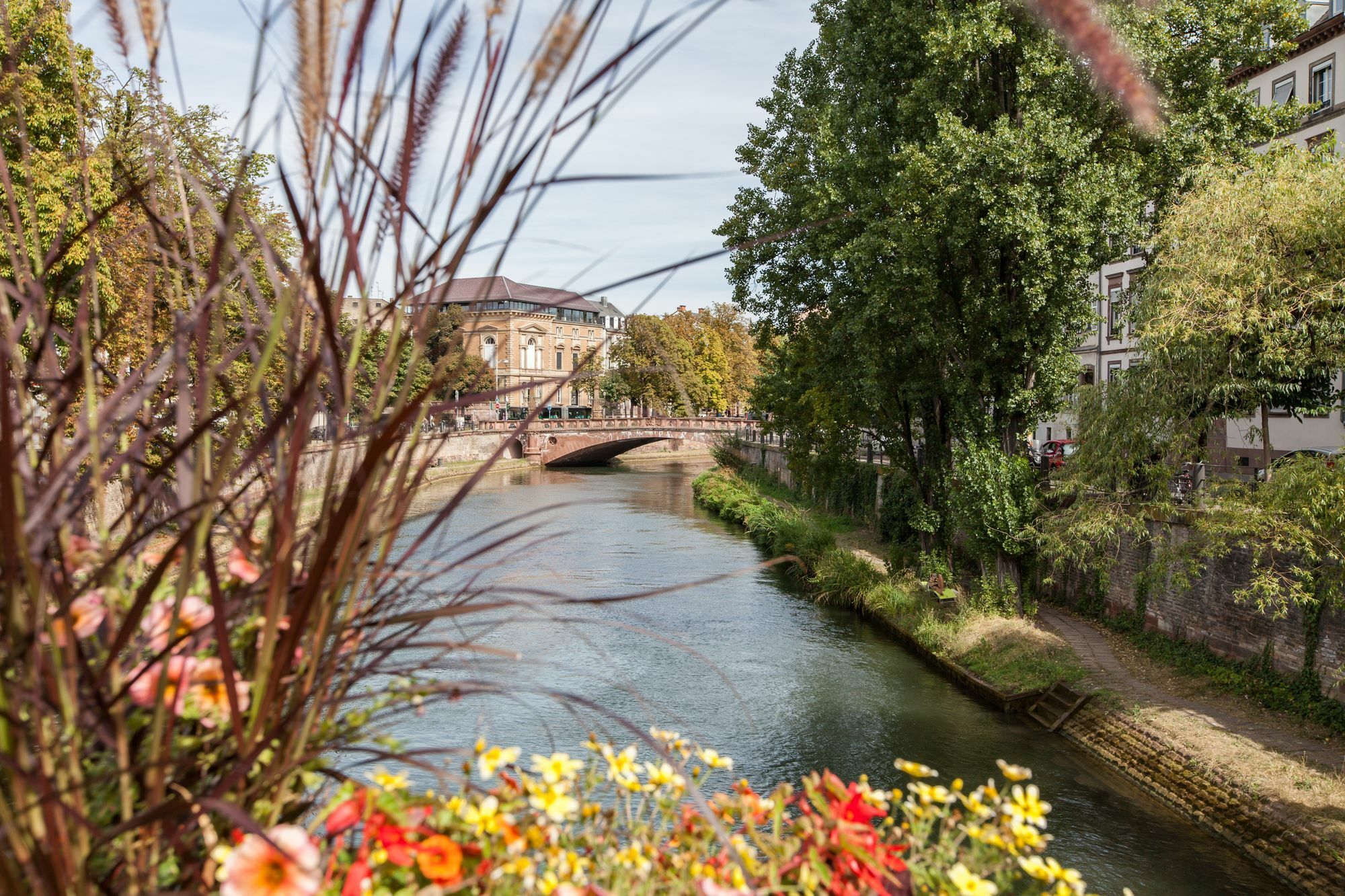 L'Appart Du Quai Avec Terrasse Strasbourg Exteriör bild